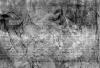 Image of the underdrawing from Leonardo da Vinci’s “The Virgin of the Rocks”